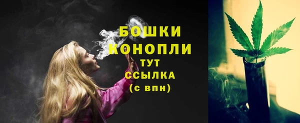 прущий лед Горно-Алтайск
