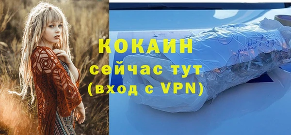 дурь Вяземский