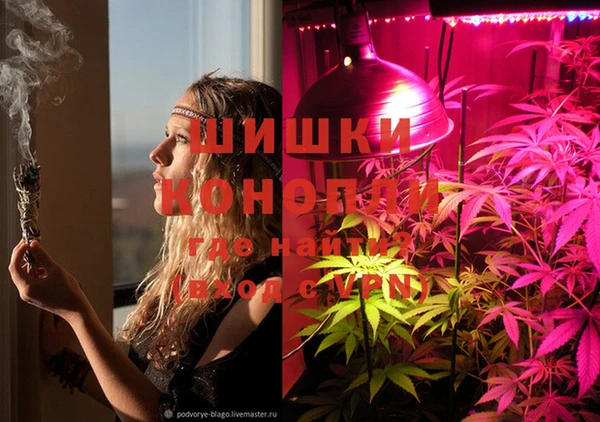 спиды Вязьма