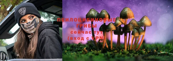 дурь Вяземский