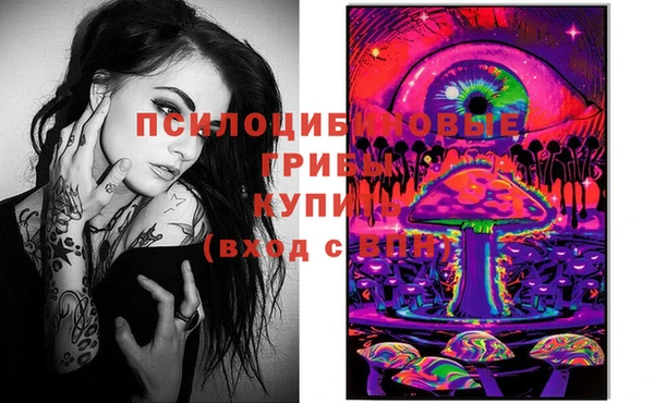 дурь Вяземский