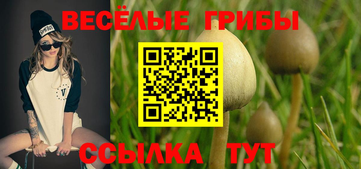 Еманжелинск  Галлюциногенные грибы прущие грибы  Вход с VPN 